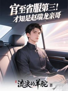 【官至省服第三！才知是赵瑞龙亲哥】主角(赵峰孟钰)在线阅读