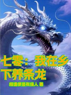 龙辰柳菲小说结局
