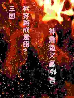袁绍孙尚香完整未删减版在线阅读 袁绍孙尚香结局