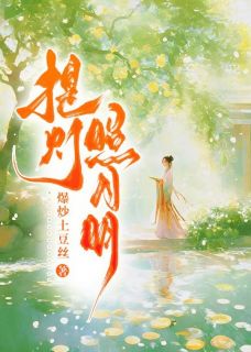 最新小说提灯照月明主角谢危柳念念全文在线阅读