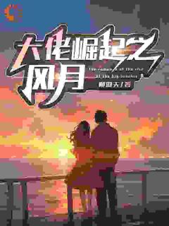 大佬崛起之风月by柳傲天