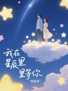 唐棠沈翊诚我在星辰里等你完结版小说全文免费阅读