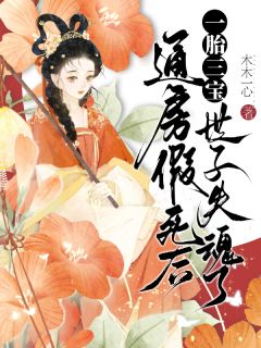 全章节小说通房假死后一胎三宝，世子失魂了木木一心最新阅读