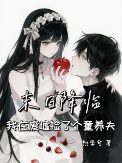 末日降临，我在废墟捡了个童养夫念安林泽最新章节在线阅读