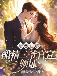 熬夜也要看完的暗恋七年，醋精二爷官宣领证小说推荐