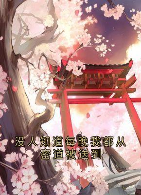 陆怀川宋槿乔小说没人知道每晚我都从密道被送到免费阅读-暗夜阅读网