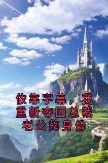 优质新书依靠字幕，我重新夺回总裁老公的身份最新章节小说全文阅读