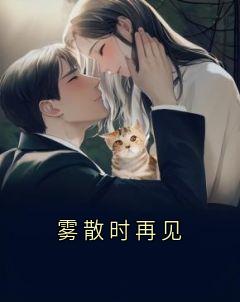 雾散时再见小说最后结局，严泽帆曹婉陶知秋百度贴吧小说全文免费