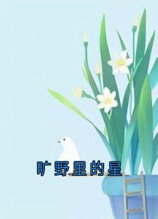 老书虫书荒推荐旷野里的星txt小说阅读