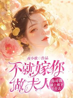 不就嫁你做夫人，你对我横上横下干什么小说全章节目录阅读BY夜小歌完结版阅读