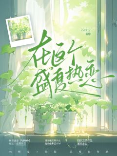 在这个盛夏热恋by苏枝也小说完结版在线阅读