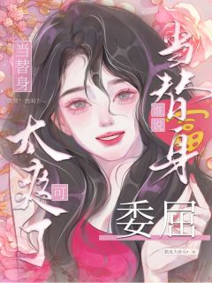 谁说替身委屈？当替身可太爽了！小说沈燃嵇洲免费阅读