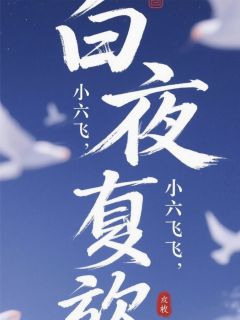 白夜赎光免费小说作者小六飞飞全文阅读