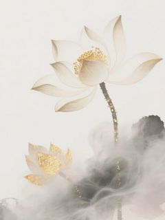 二婚肥妻养成记精彩小说-二婚肥妻养成记目录阅读