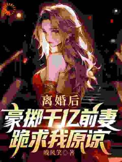苏辰，这份离婚协议看完了吗小说(完结)-苏辰李清雪章节阅读