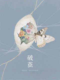 (抖音小说)程微澜陆远川小说全文阅读免费