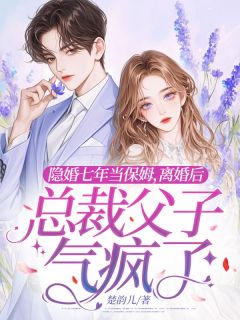 抖音爆款隐婚七年当保姆，离婚后总裁父子气疯了小说免费阅读-暗夜阅读网