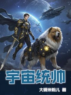 主角是陈岩黄小莉的小说-宇宙统帅完整章节阅读