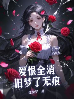 爱恨全消，旧梦了无痕司锦年林见语-小说txt全文阅读-暗夜阅读网