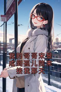 我的哥哥宋景成到孤儿院来接我那天小说的书名是什么-暗夜阅读网