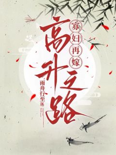 新上寡妇再嫁高升之路雨舟行至小说免费阅读-暗夜阅读网