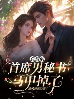 抖音小说总裁的首席男秘书马甲掉！主角叶白乐傅肆全文小说免费阅读