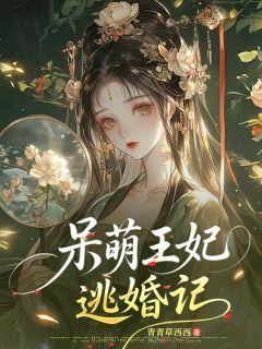 (抖音)呆萌王妃逃婚记 主角江洛栖东风煜-暗夜阅读网