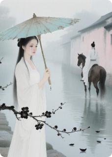 抖音爆款雨碎江南，晏华一梦小说免费阅读