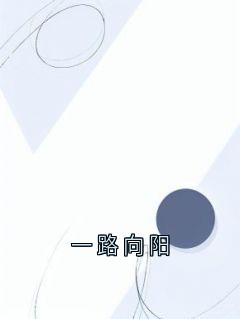 一路向阳全本小说（一路向阳）全文阅读-暗夜阅读网