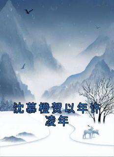主角是贺以年许凌年沈慕橙的小说叫什么沈慕橙贺以年许凌年免费全文阅读