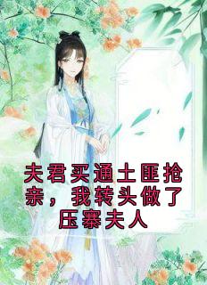 夫君买通土匪抢亲，我转头做了压寨夫人凌雪周辰风全章节目录免费阅读