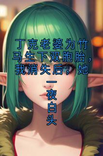小说推荐丁克老婆为竹马生下双胞胎，我消失后，她一夜白头完结版全章节阅读