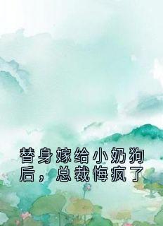 替身嫁给小奶狗后，总裁悔疯了沈妄之秦卿小说全文阅读