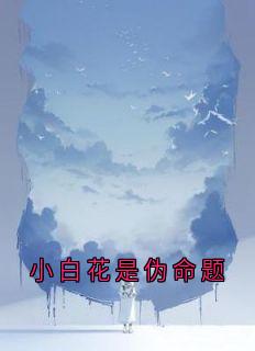 抖音小说冯小棠胡世仁冯小棠胡世仁无弹窗试读