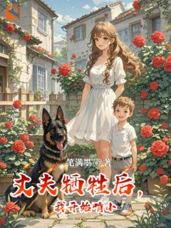 懒妻新篇章：丈夫牺牲后，她崛起了是什么小说卓乐卫天下全本免费阅读-暗夜阅读网