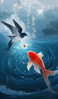 独家爱有天意，金鱼与飞鸟全本大结局小说阅读