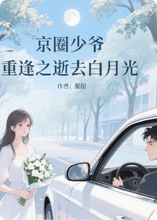 京圈少爷重逢之逝去白月光(傅沉舟苏晚意)最新章节试读