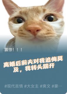 离婚后前夫对我追悔莫及最新章节 陆安小叶沈渊全文阅读