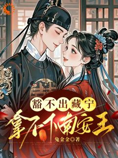 豁不出藏宁，拿不下南安王by姜藏宁凌渊在线阅读