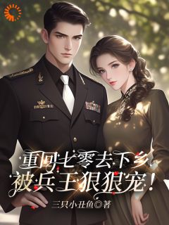 重回七零去下乡，被兵王狠狠宠！章节目录小说-苏暖傅廷免费阅读全文