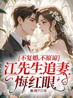 抖音小说不复婚！不原谅！江先生追妻悔红眼黎落江寒序傅斯津全文txt