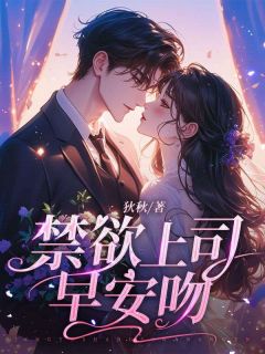 抖音小说禁欲上司早安吻林知许封凛川全文txt-暗夜阅读网