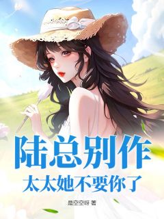 老书虫力荐陆总别作，太太她不要你了免费无弹窗阅读