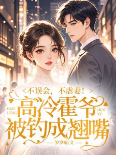 苏时安霍瑾洲小说无广告阅读