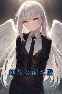 炮灰女配沈盈快手热推沈盈傅轻舟免费阅读-暗夜阅读网