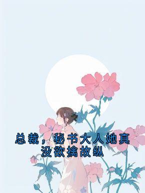 总裁，秘书大人她真没欲擒故纵盛封黎喻盛泊谦-小说未删减阅读