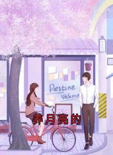 热门小说养月亮的完整版全文阅读