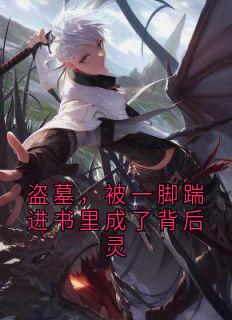 盗墓,被一脚踹进书里成了背后灵洛北笙张起灵霍秀秀大结局在线阅读