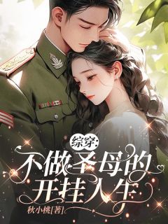 综穿：不做圣母的开挂人生何家丽刘美心小说完整在线阅读