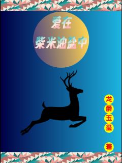 书荒推荐爱在柴米油盐中(周子墨王梦琪龙小梅)在线试读